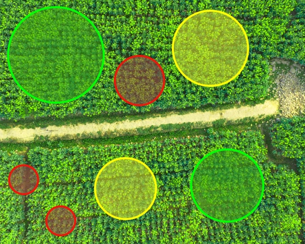 multispectral termelési stratégia